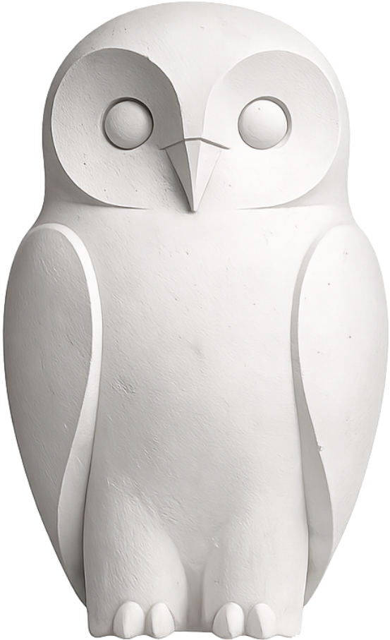 Vista ilustrada del flujo de estudio adaptativo